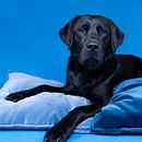 Zwarte labrador hond liggend op blauwe kussens van Leoniek van der Vliet thumbnail