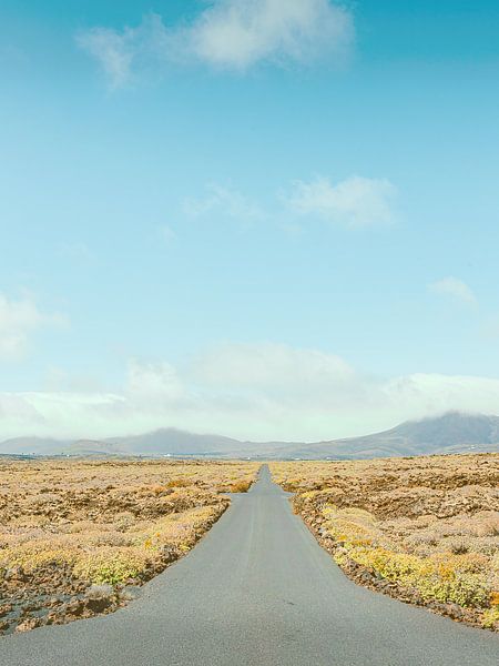landweg van Michael Schulz-Dostal