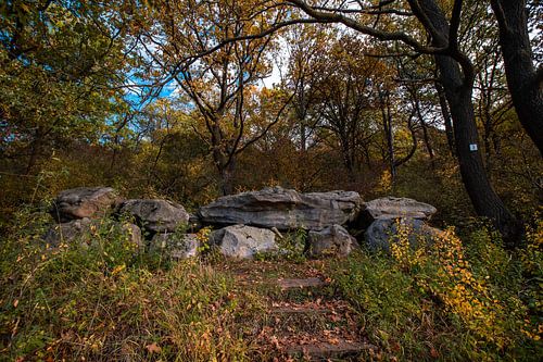 Megalithische graftombe bij Steinumg