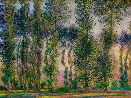 Claude Monet - Peupliers à Giverny, 1887 sur Timeless Artworks