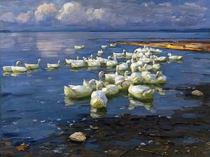 Enten im See, ALEXANDER KOESTER, Um 1909-1913