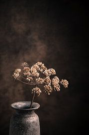 Gedroogde berenklauw in rustieke vaas. van Henk Van Nunen Fotografie