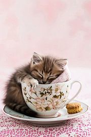 Schlafende Katze in Teetasse von Art & Soul Creations