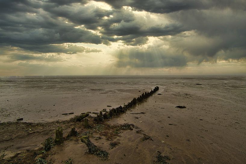 Brise-lames à marée basse sur l'estran par peterheinspictures