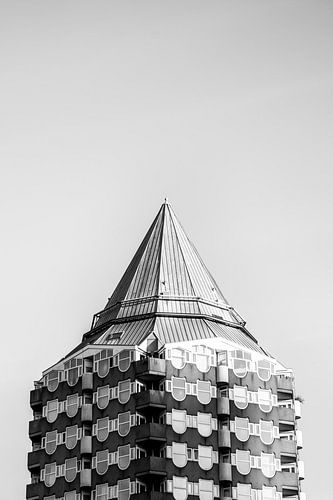 Blaaktoren Rotterdam van Daan Nieuwland