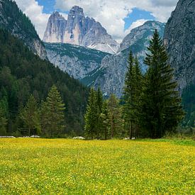 Vue sur les Drei Zinnen dans les Dolomites du Tyrol du Sud sur Reiner Würz / RWFotoArt