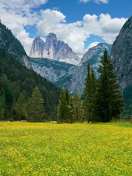 Blick zu den Drei Zinnen in den Südtiroler Dolomiten von Reiner Würz / RWFotoArt