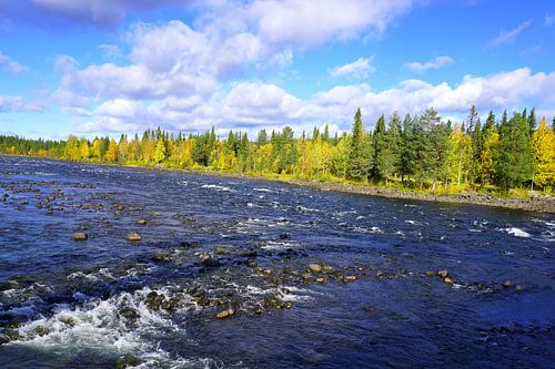 De prachtige ongerepte natuur van Zweden