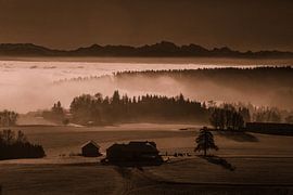 Humeur brumeuse sur Rudolf Brandstätter