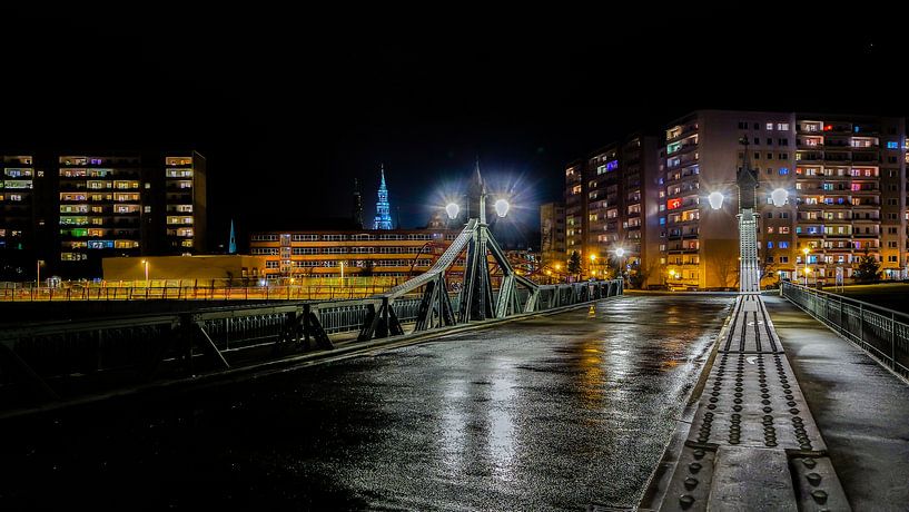Skyline of Zwickau by night by Animaflora PicsStock