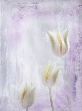 drie tulpen van Claudia Gründler