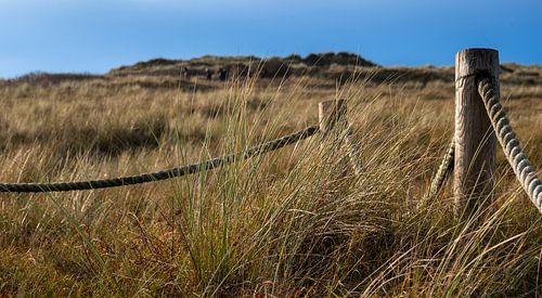 Paysage de dunes avec cordage de bateau entre des poteaux sur Michel Knikker
