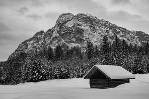 Winterstimmung in den Reschbergwiesen