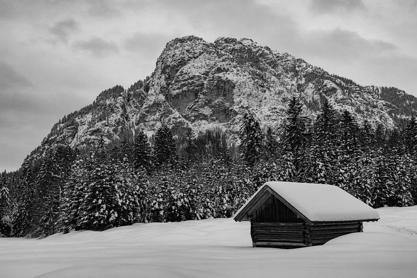 Winterse sfeer op de Reschbergse weiden van Andreas Müller