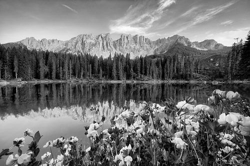 Prachtig bergmeer in de Dolomieten met bloeiende alpenbloemen in zwart-wit