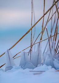 Eiswürfel von Jan Peter Nagel