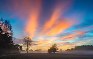 Sonnenuntergang im Winter über dem Heide am Veluwe  von Sjoerd van der Wal Fotografie