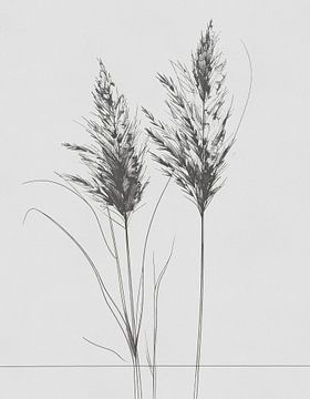 Minimal art - lijntekening siergras 02 van Emiel de Lange