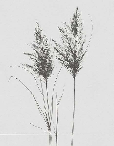Minimal art - lijntekening siergras 02 van Emiel de Lange