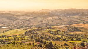 Montepulciano, Siena, Italien