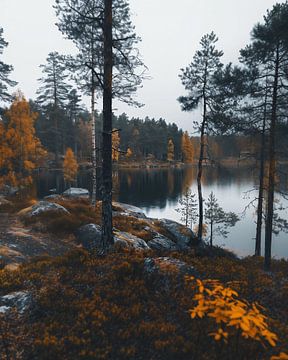 Finland in de herfst van fernlichtsicht