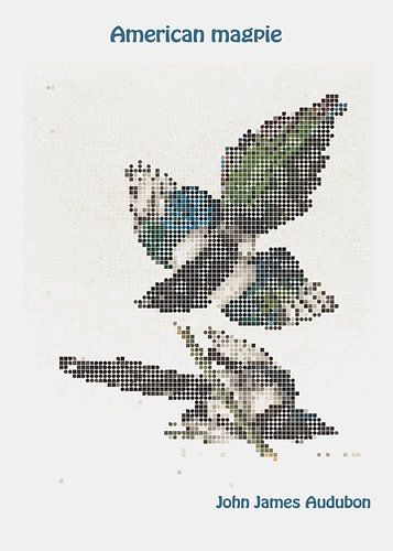 Amerikanische Elster von John James Audubon