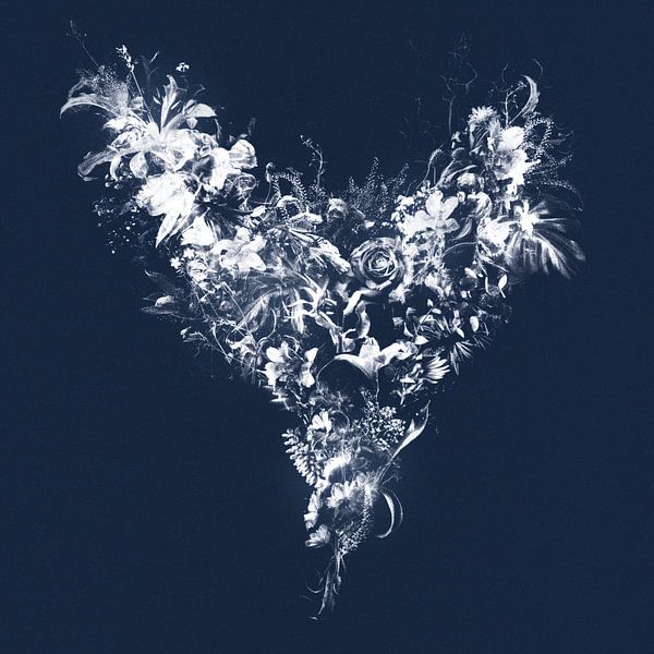 Heart by Teis Albers