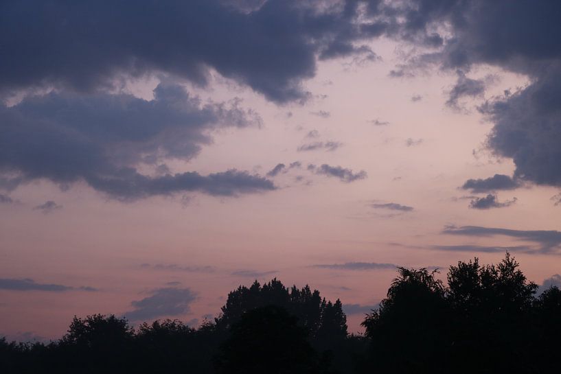Paarse Lucht van Rosalie Broerze
