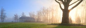 Mysterieuze ochtend in het park van Jaap Meijer