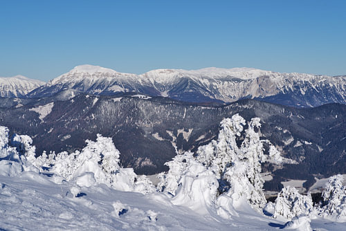 Paysage de montagne hivernal avec des sommets enneigés et des arbres recouverts de glace