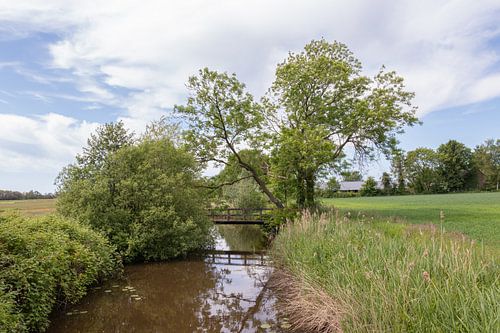 Groninger en Drentse Veenkoloniën