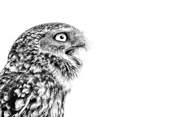 Angry bird by Kris Hermans