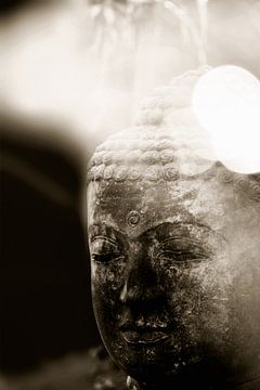 Kopf eines Buddha in S/W sur MR OPPX