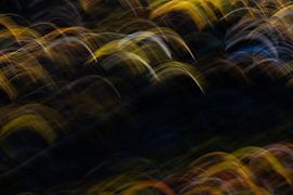 Feuilles d'automne