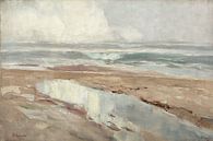 Strandlandschap door Hagemeister van WEST EGG designs thumbnail