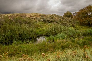 Dreigende regen in de duinen van Kennemerland van andre de wit