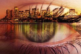 boston view by Stefan Havadi-Nagy