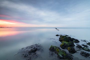 Oneindige stilte op het wad van Bram Lubbers