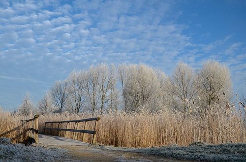 De brug naar winterwonderland
