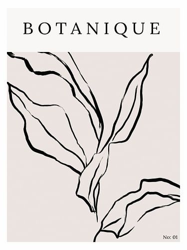 The New Simple No 64