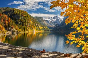 Herbst am Gosausee von Silvio Schoisswohl