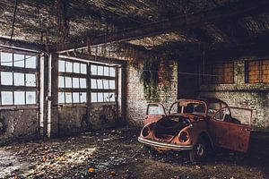 VW bug by Christophe Van walleghem