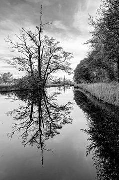 View of Bovenkerk by Peter Bartelings