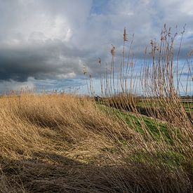 Niederländischer Himmel 2 von Henri Boer Fotografie