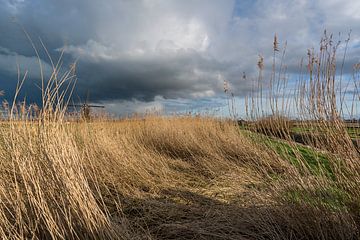 Niederländischer Himmel 2 von Henri Boer Fotografie