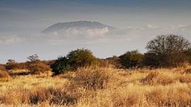 Snow-covered Kilimanjaro near Amboseli in Kenya by Aagje de Jong