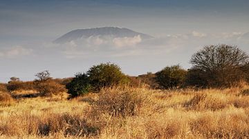 Snow-covered Kilimanjaro near Amboseli in Kenya by Aagje de Jong