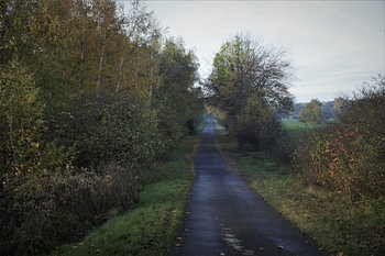 Weg durch der Wiese