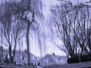 Urban Reflections 62