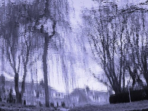 Urban Reflections 62